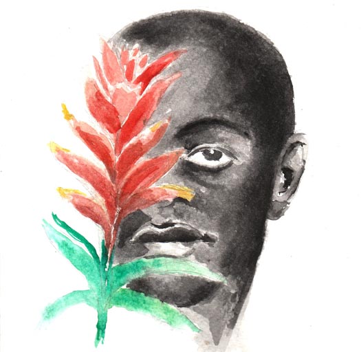 tropical macumba (2)