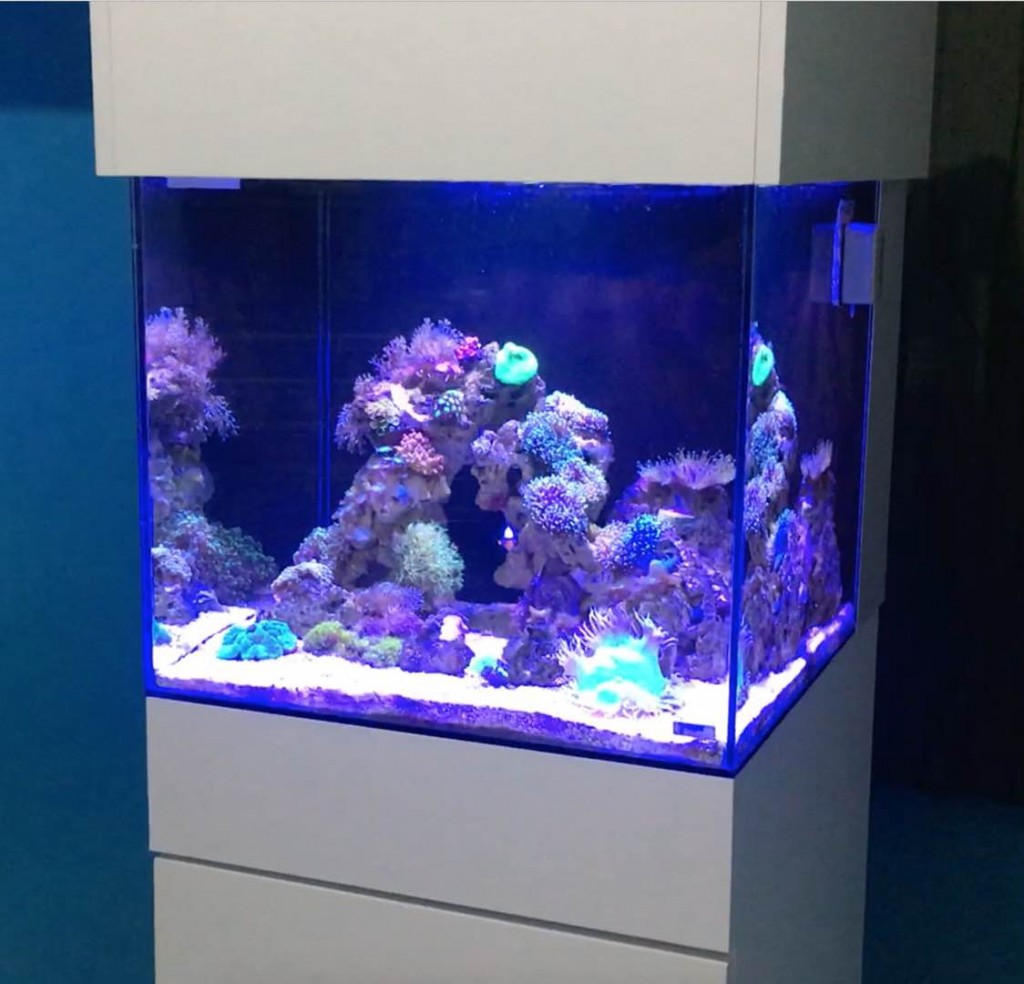 F615CCB9-0041-4A2A-AE2E-F16CD8120D17