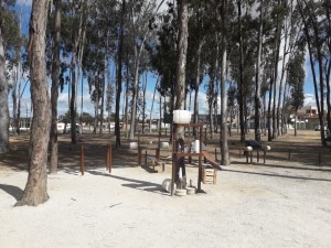 BF022FDB-8BBE-43A9-8E57-8F6BAC0E56DE