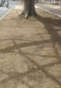 4A2F39A8-896B-4BEC-A2A2-E36093BB07BA