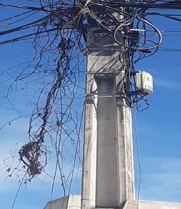 97DFA968-8F3B-46CD-8F51-D2CB5243C552