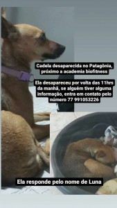 55137663-96B3-4391-920A-F85204F551A6